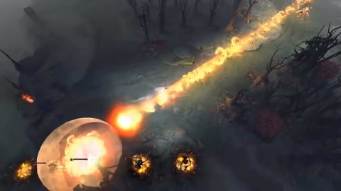 育的发展 育的发展