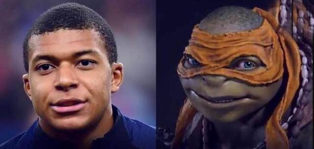 应用在每一 应用在每一